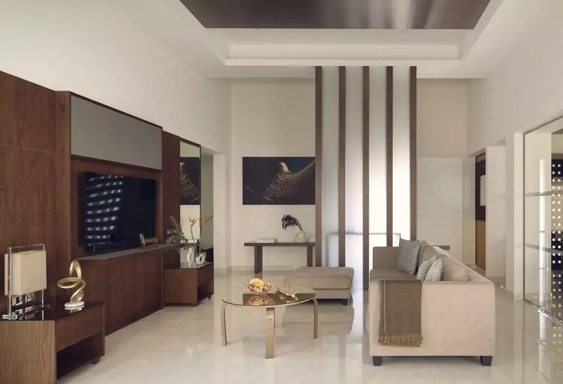 Fotos del hotel Meliá Desert Palm Member Of Meliá Collection:  15