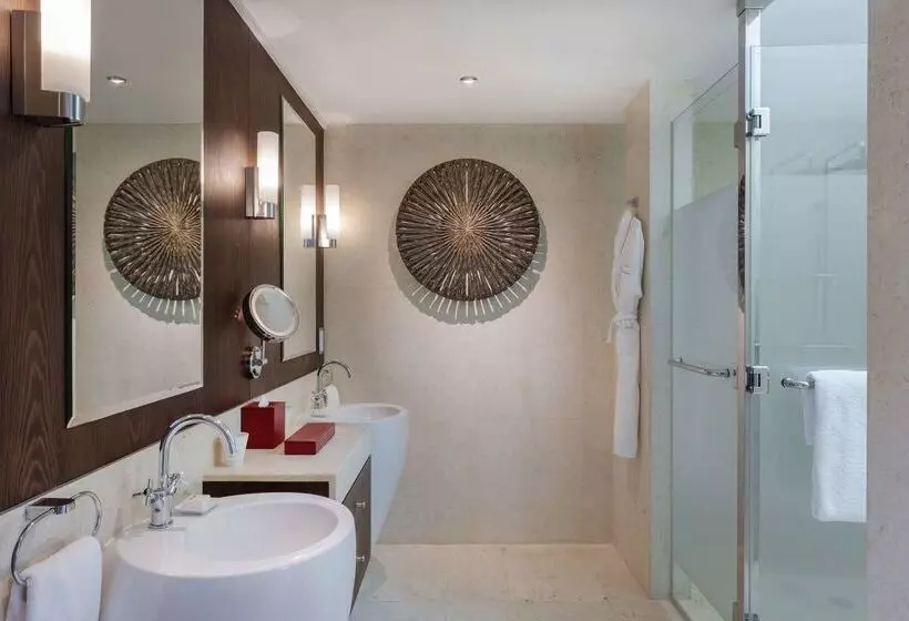 Fotos del hotel Meliá Desert Palm Member Of Meliá Collection:  24