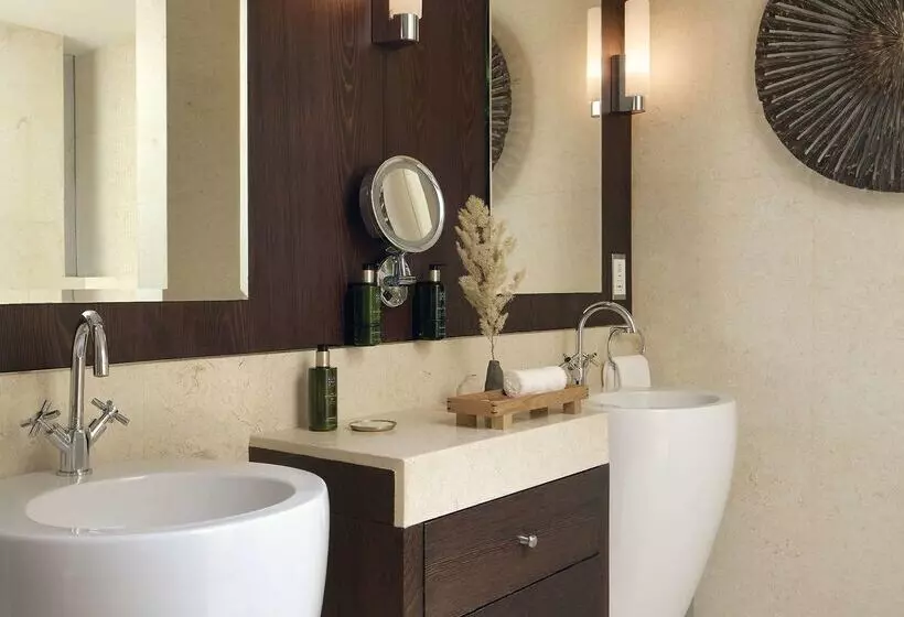 Fotos del hotel Meliá Desert Palm Member Of Meliá Collection:  23