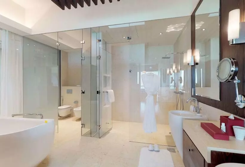 Fotos del hotel Meliá Desert Palm Member Of Meliá Collection:  22