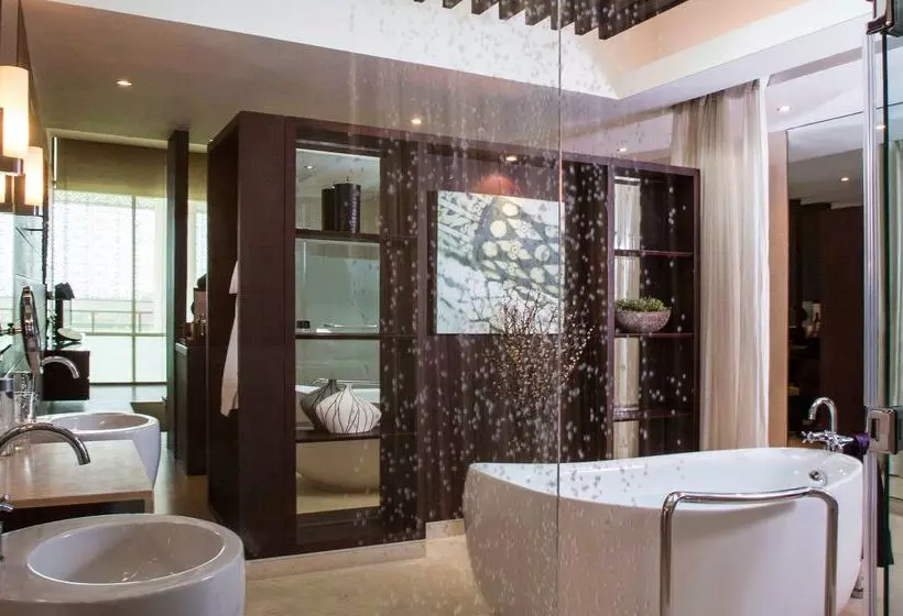 Fotos del hotel Meliá Desert Palm Member Of Meliá Collection:  37