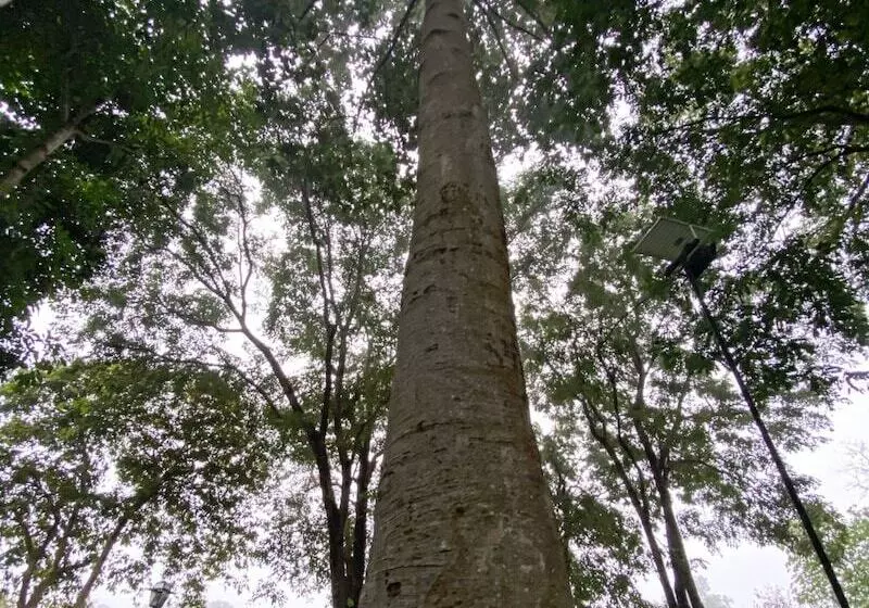 Fotos del hotel Comsaed River Kwai Resort:  25