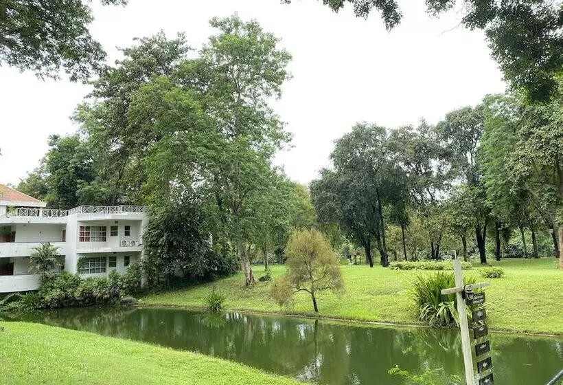 Fotos del hotel Comsaed River Kwai Resort:  13