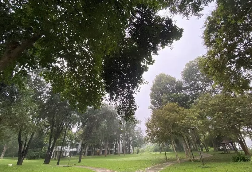 Fotos del hotel Comsaed River Kwai Resort:  6