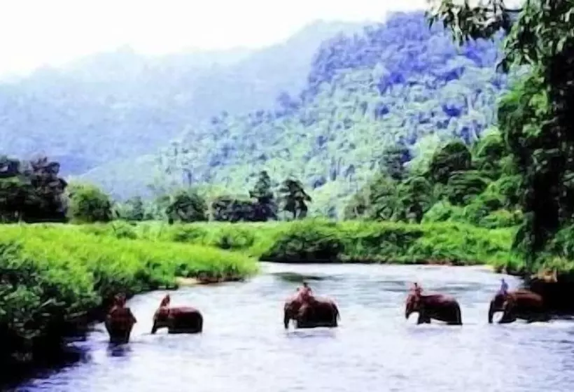 Fotos del hotel Comsaed River Kwai Resort:  14