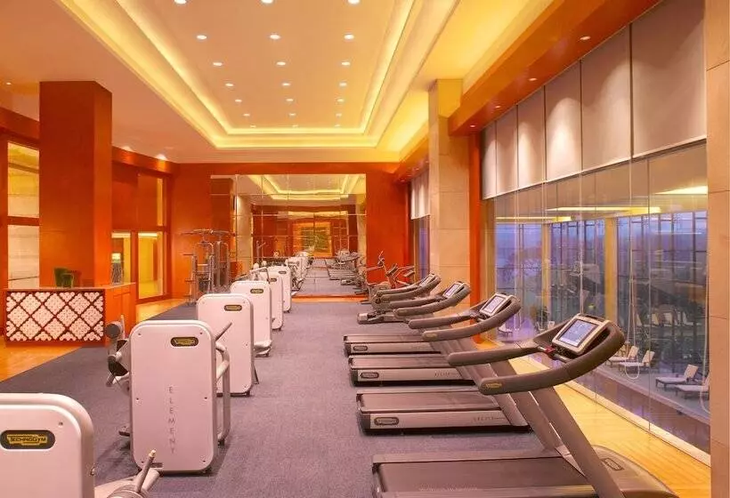 Fotos del hotel Hyatt Regency Dongguan:  3