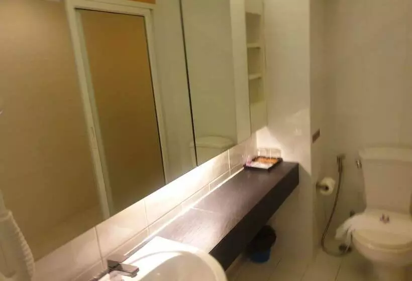 Fotos del hotel Baron Beach:  17