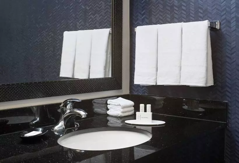 Fotos del hotel Fairfield Inn Suites By Marriott Orlando At Seaworld:  16