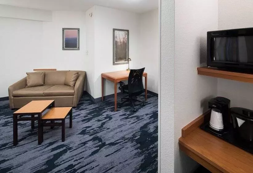 Fotos del hotel Fairfield Inn Suites By Marriott Orlando At Seaworld:  23