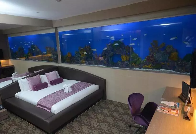 Fotos del hotel H2o:  17