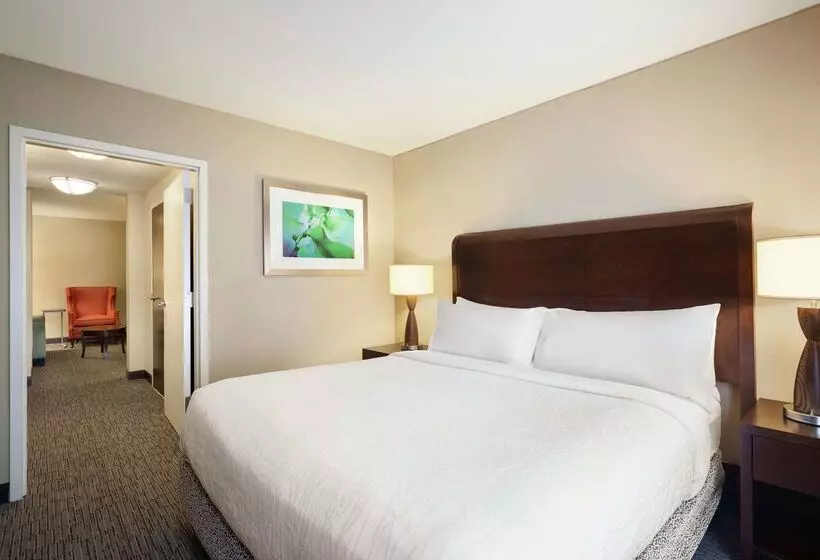 Fotos del hotel Hilton Garden Inn Atlanta Downtown:  17