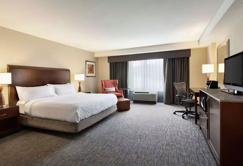 Fotos del hotel Hilton Garden Inn Atlanta Downtown:  9