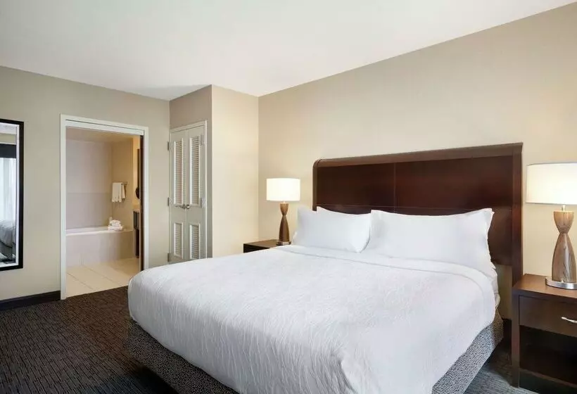 Fotos del hotel Hilton Garden Inn Atlanta Downtown:  16