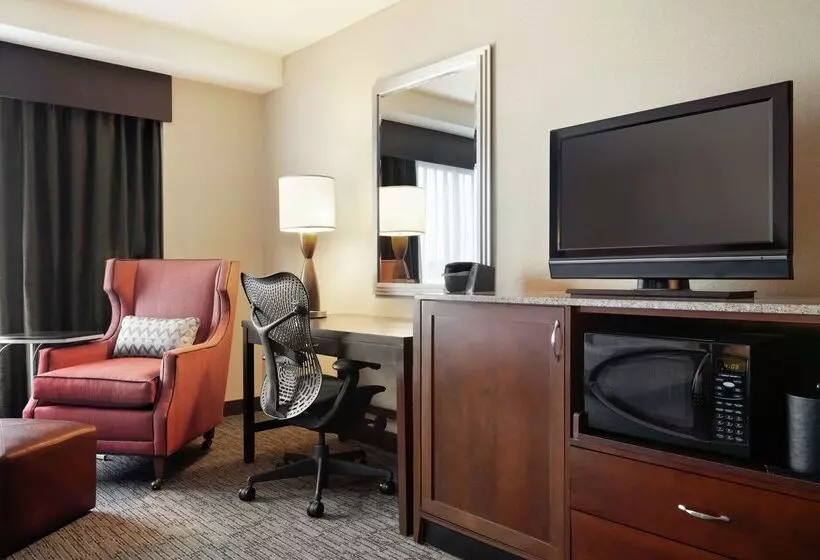 Fotos del hotel Hilton Garden Inn Atlanta Downtown:  11