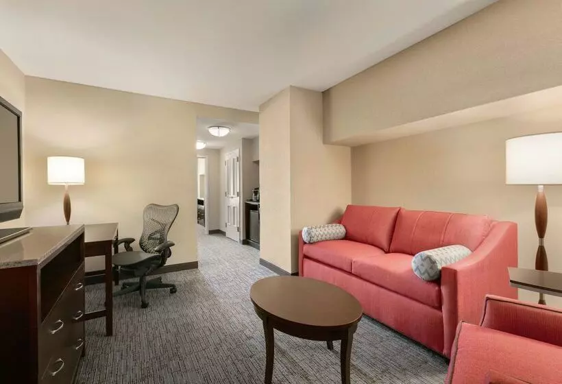 Fotos del hotel Hilton Garden Inn Atlanta Downtown:  24