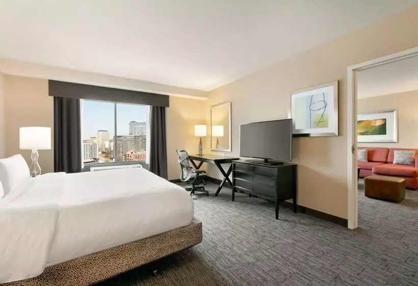 Fotos del hotel Hilton Garden Inn Atlanta Downtown:  23