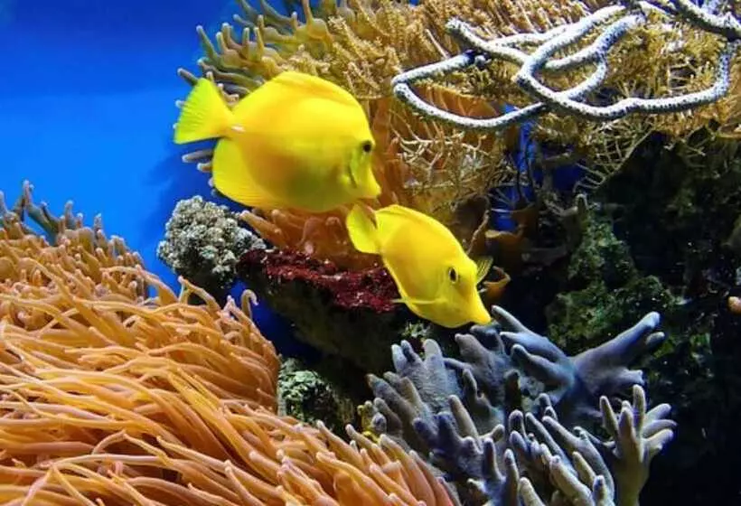 Fotos del hotel Holiday Inn Express Cape Town City Centre, An Ihg:  4