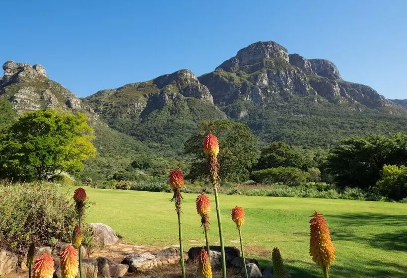 Fotos del hotel Holiday Inn Express Cape Town City Centre, An Ihg:  11