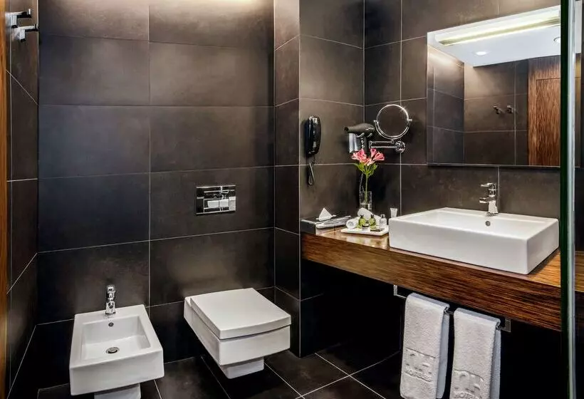 Fotos del hotel Nh Collection Olomouc Congress:  43