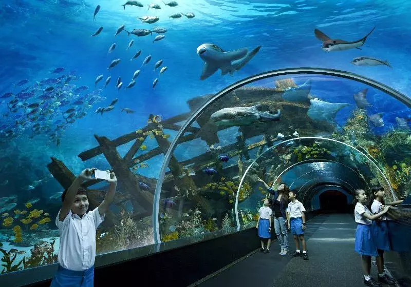 Fotos del hotel Resorts World Sentosa - Hard Rock Hotel (sg Clean):  8