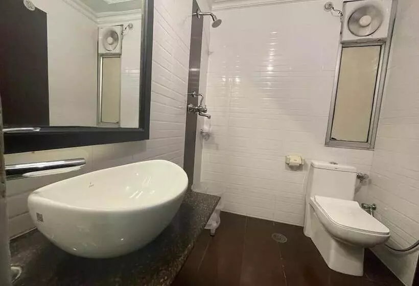 Fotos del hotel Aashish:  15