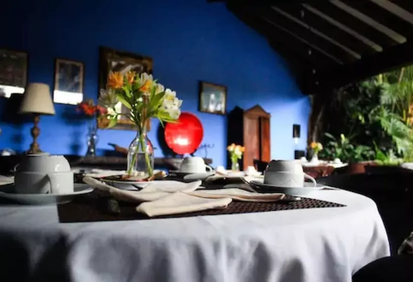 Fotos del hotel Casa Colonial Adults Only:  20