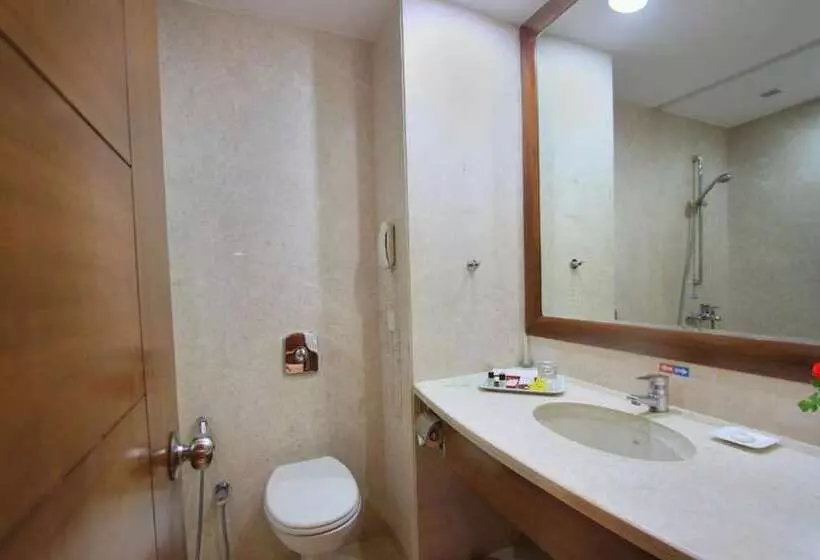 Fotos del hotel Nandhana Grand:  3