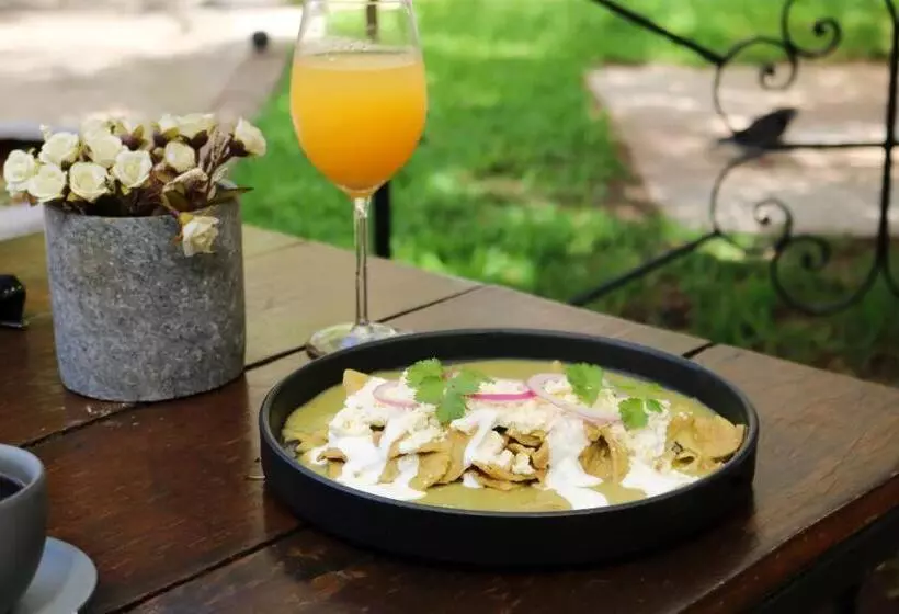 Fotos del hotel Piedra De Agua Merida:  16