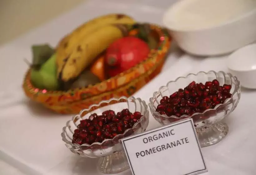 Fotos del hotel Residency Palace:  24