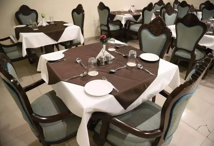 Fotos del hotel Residency Palace:  12