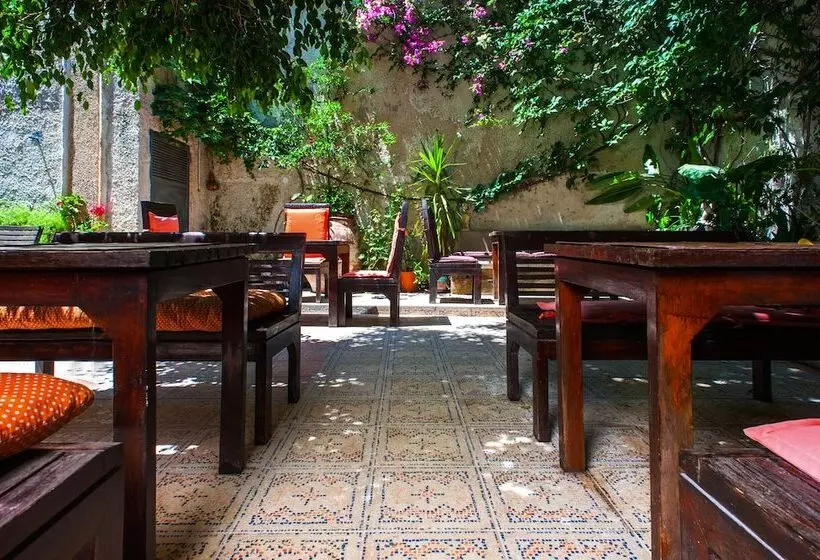 Fotos del hotel Splanzia Boutique:  7