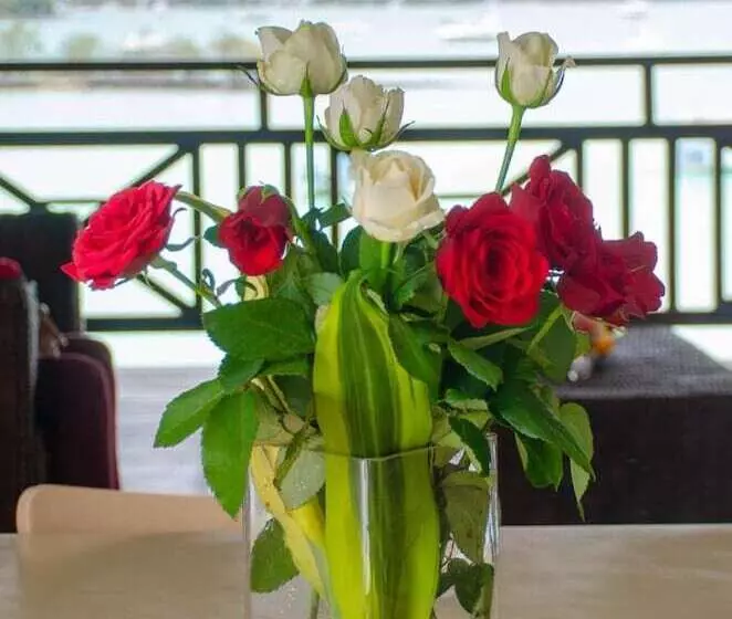 Fotos del hotel The Paradise By Tunga:  10