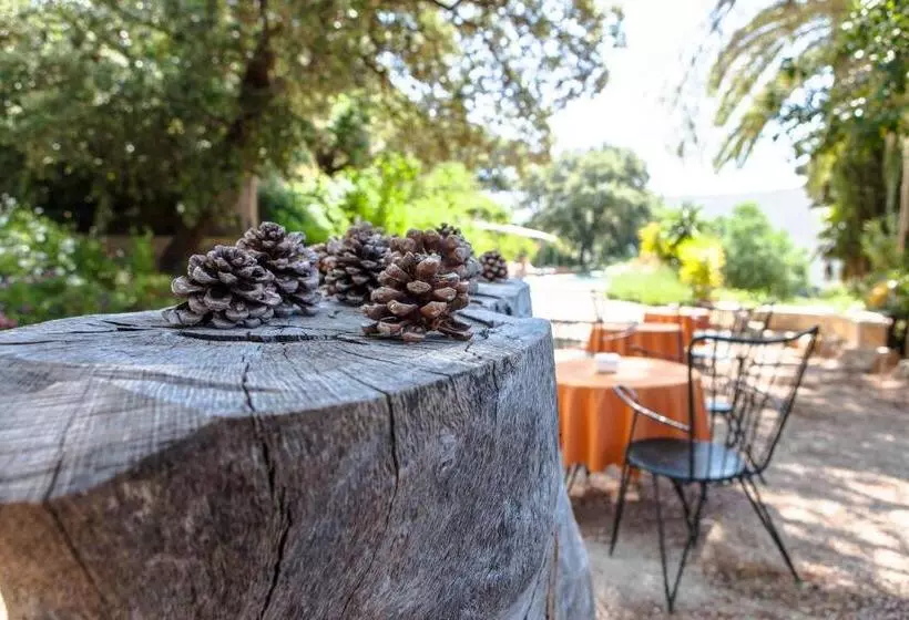 Fotos del hotel Agroturismo Son Galceran:  22