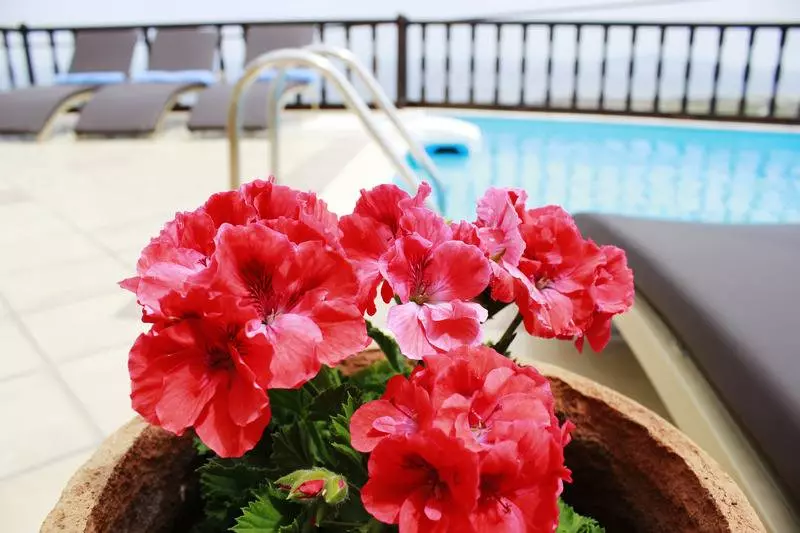 Fotos del hotel Amerisa Suites:  5