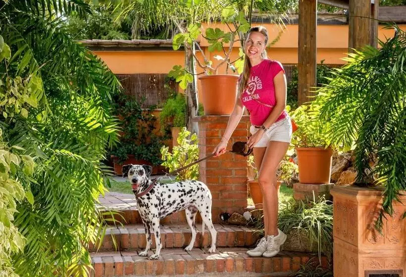 Fotos del hotel Antica Locanda Palmieri:  3