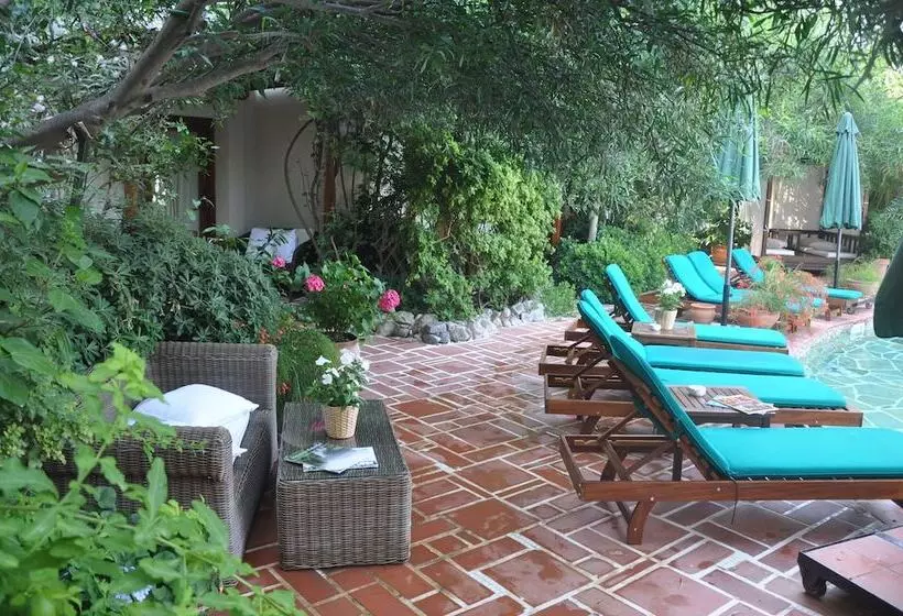 Fotos del hotel El Vino Hotel & Suites:  8