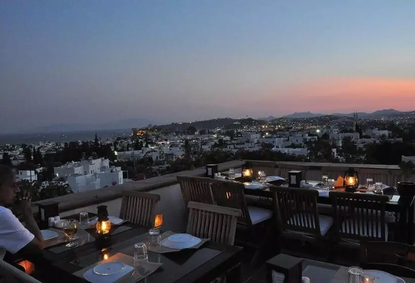 Fotos del hotel El Vino Hotel & Suites:  15