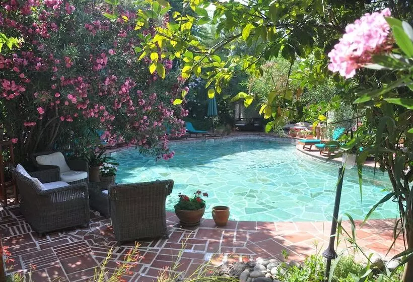 Fotos del hotel El Vino Hotel & Suites:  17