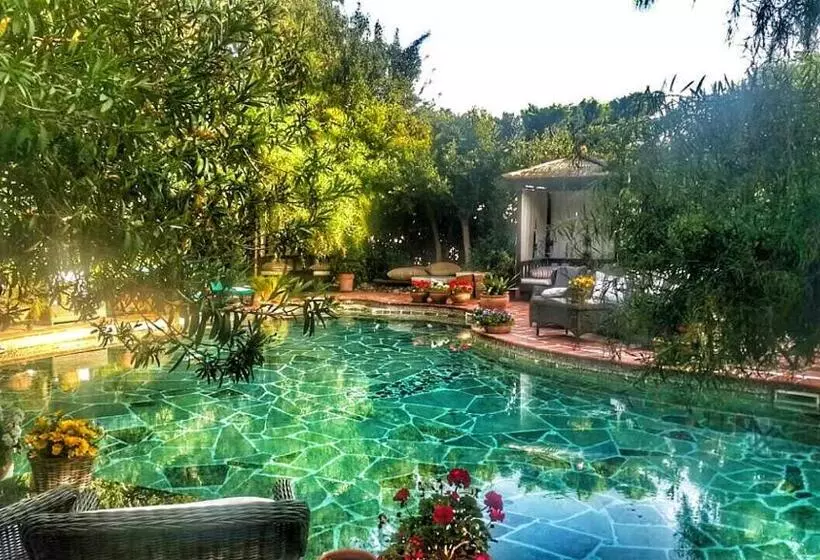 Fotos del hotel El Vino Hotel & Suites:  22