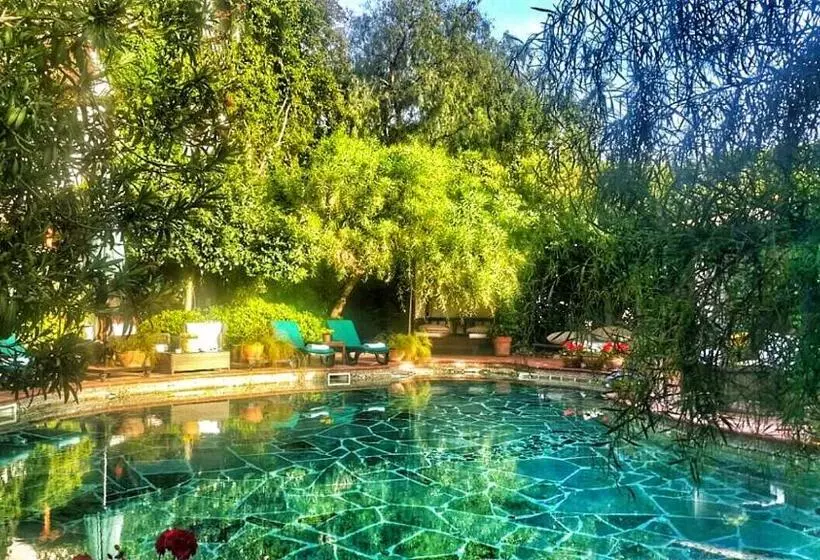 Fotos del hotel El Vino Hotel & Suites:  14