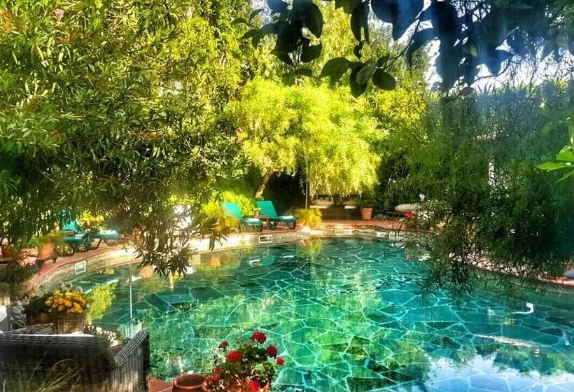 Fotos del hotel El Vino Hotel & Suites:  20