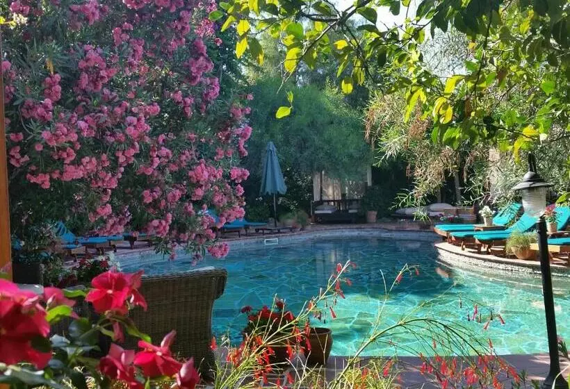 Fotos del hotel El Vino Hotel & Suites:  6