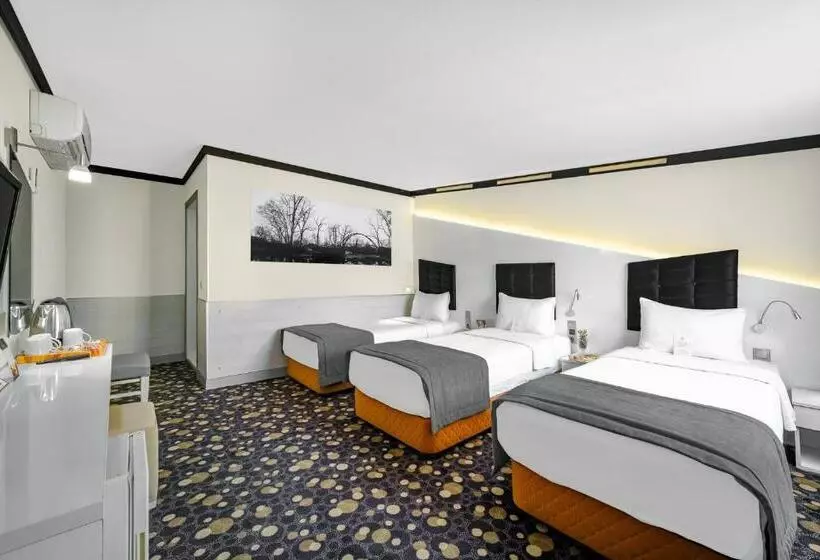 Fotos del hotel Oglakcioglu Park Boutique:  14