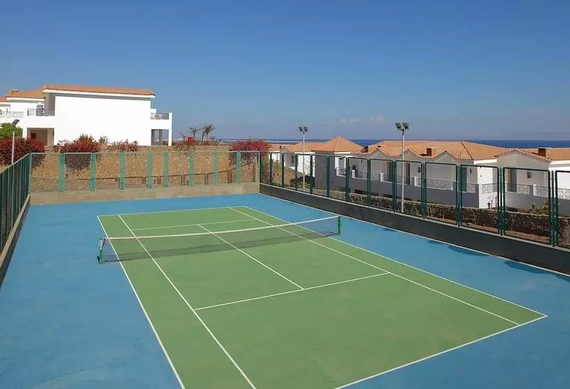 Fotos del hotel Ecotel Dahab Bay View Resort:  12