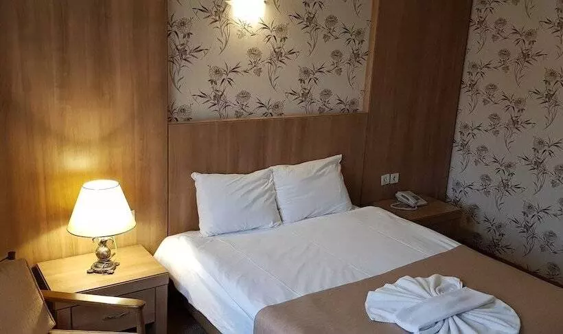 Fotos del hotel Ankara Capital:  8