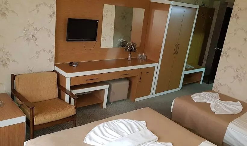 Fotos del hotel Ankara Capital:  7