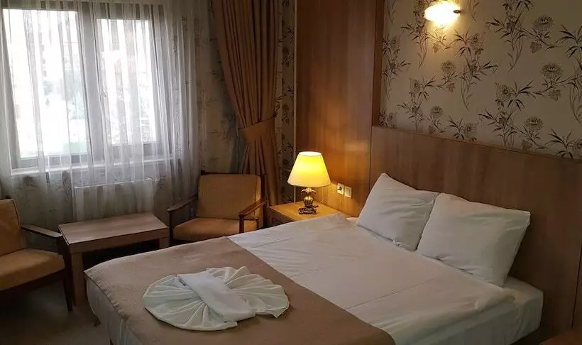 Fotos del hotel Ankara Capital:  6