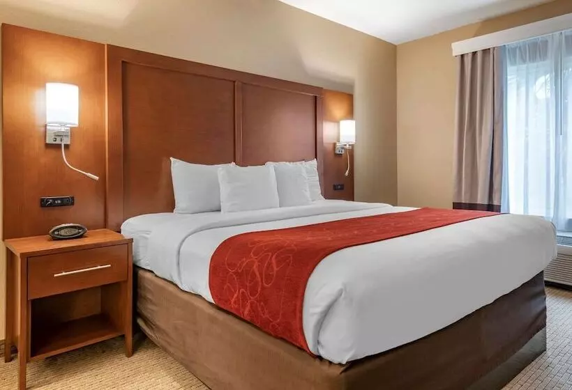 Fotos del hotel Comfort Suites Orlando Airport:  7