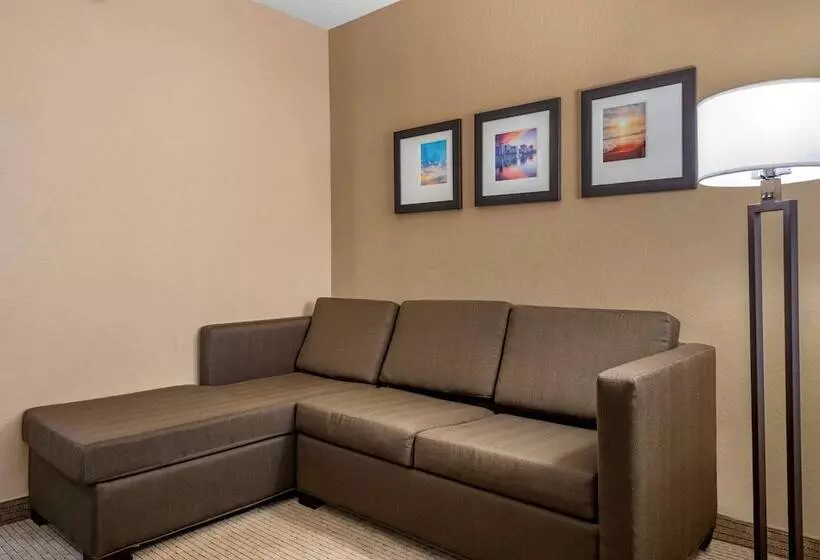 Fotos del hotel Comfort Suites Orlando Airport:  10