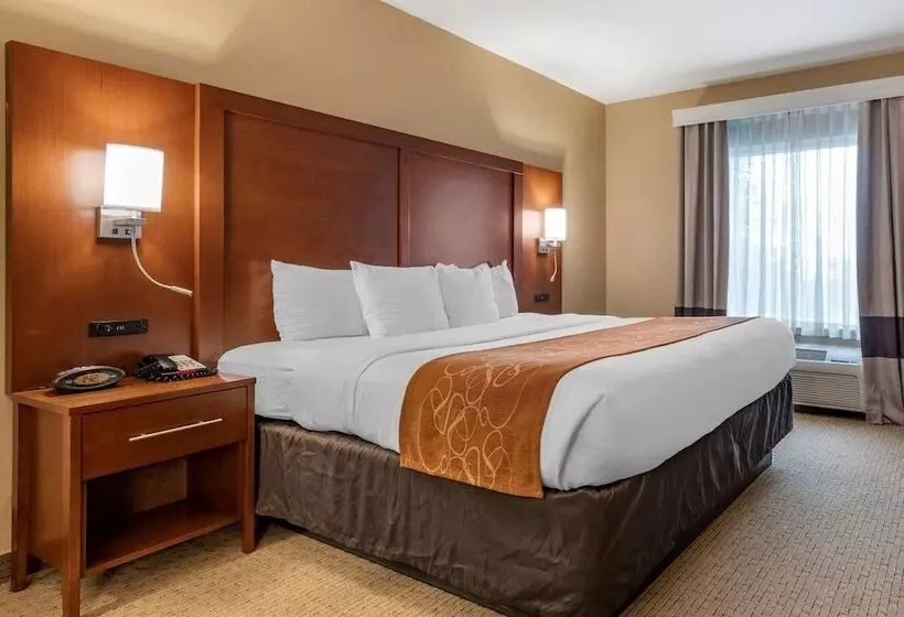 Fotos del hotel Comfort Suites Orlando Airport:  8